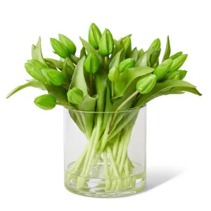 Tulip Bud Green - 31 x 31 x 31cm by Elme Living, a Plants for sale on Style Sourcebook