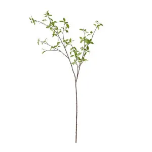 Pittosporum Leaf Branch Green - 142cm by James Lane, a Plants for sale on Style Sourcebook