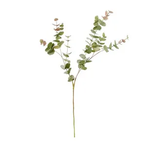 Eucalyptus Leaf Spray - 32 x 20 x 102cm by James Lane, a Plants for sale on Style Sourcebook