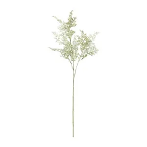 Artemisia Spray - 20 x 14 x 61cm by James Lane, a Plants for sale on Style Sourcebook