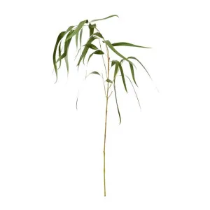 Eucy Gum Spray - 58 x 40 x 96cm by James Lane, a Plants for sale on Style Sourcebook