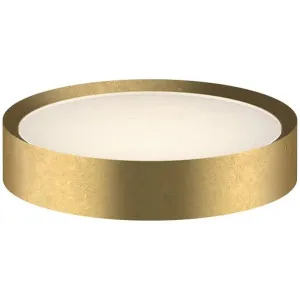 Fantini Young Wall Mounted Soap Holder - Pure Brass PVD 96Q77669 by Fantini, a Bathroom Accessories for sale on Style Sourcebook
