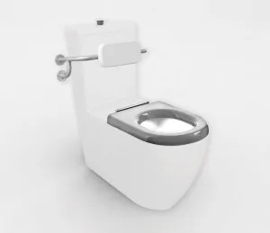 Studio Bagno Comoda 800 Toilet Suite COMM800-GR by Studio Bagno, a Toilets & Bidets for sale on Style Sourcebook