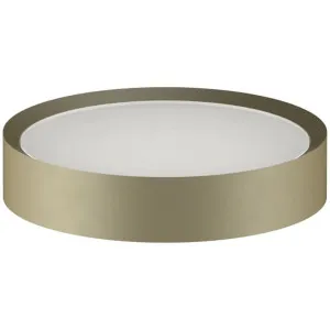 Fantini Young Soap Holder - Matte British Gold PVD 96P67648 by Fantini, a Bathroom Accessories for sale on Style Sourcebook