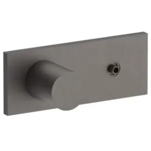 Fantini Venezia Wall Diverter Mixer without Diverter Handle - Matte Gunmetal PVD 29P5N385SB-19006185A by Fantini, a Showers for sale on Style Sourcebook