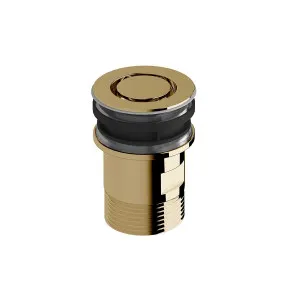 Sussex Taps Basin Plug and Waste LUXPVD® Pure Gold SXBNPW-59 by Sussex Taps, a Traps & Wastes for sale on Style Sourcebook
