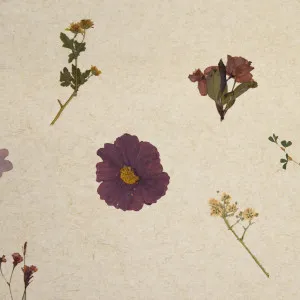 VIOLETTE Light by Organoid, a Wallpaper for sale on Style Sourcebook