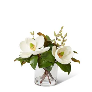 Magnolia Classic - 48 x 48 x 44cm by Elme Living, a Plants for sale on Style Sourcebook