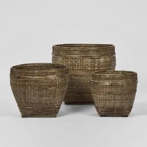 Paume Rattan Planter Set 3 Antique Brown by Florabelle Living, a Baskets & Boxes for sale on Style Sourcebook