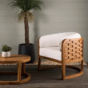 Weave Teak Armchair- Indoor/Outdoor Use by Florabelle Living, a Chairs for sale on Style Sourcebook