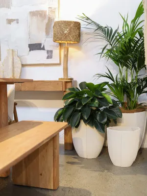 S/3 Tracy MGO Garden Pots Planters Textured Off White by Robert Mark, a Plant Holders for sale on Style Sourcebook