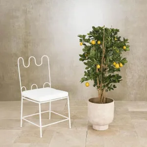 Artificial Lemon Tree 1.15m by Florabelle Living, a Plants for sale on Style Sourcebook