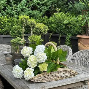 Set of 2 Luna Garden Rattan Baskets by Florabelle Living, a Laundry Bags & Baskets for sale on Style Sourcebook