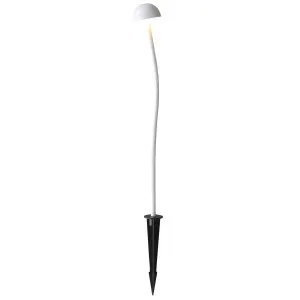 Oriel Lighting Enoki Weatherproof Outdoor DIY Single Head 12V LED Spike Light White by Oriel Lighting, a Outdoor Lighting for sale on Style Sourcebook