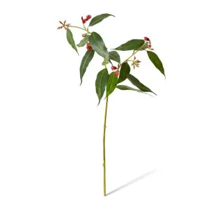 Flowering Eucalyptus - 30 x 28 x 75cm by Elme Living, a Plants for sale on Style Sourcebook