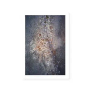 Salt of the Earth I by ARTHOUSEco, a Prints for sale on Style Sourcebook