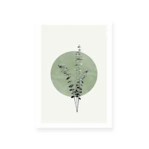 Moon Botanical II by ARTHOUSEco Luxe, a Prints for sale on Style Sourcebook