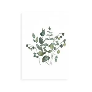 Eucalyptus Leaves III by ARTHOUSEco Luxe, a Prints for sale on Style Sourcebook