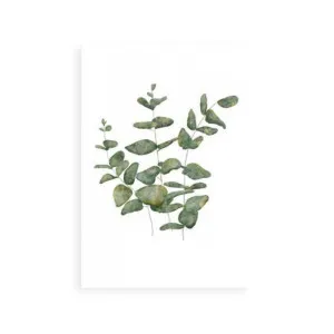 Eucalyptus Leaves II by ARTHOUSEco Luxe, a Prints for sale on Style Sourcebook