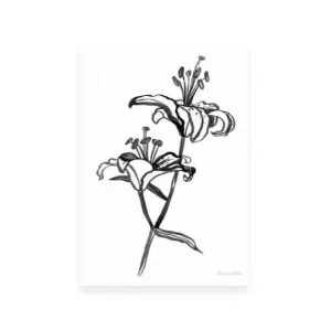 Ink Lilies I by ARTHOUSEco Luxe, a Prints for sale on Style Sourcebook