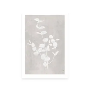 Botanical Study II by ARTHOUSEco Luxe, a Prints for sale on Style Sourcebook