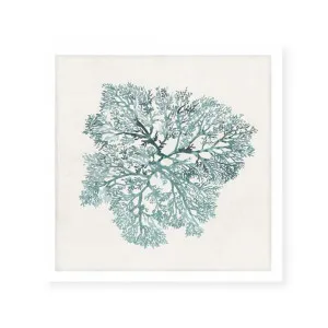 Teal Coral I by ARTHOUSEco Luxe, a Prints for sale on Style Sourcebook
