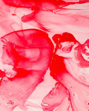 Wattle | Limited Edition Art Print | David Bottrell by David Bottrell, a Prints for sale on Style Sourcebook