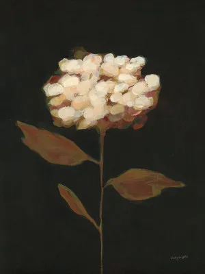 Fade into Fall II by Haley Knighten, a Prints for sale on Style Sourcebook