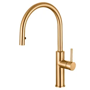Titan Essentials Lite Gooseneck Pull Out Kitchen Mixer Tap Brass TTBRXP by Titan, a Kitchen Taps & Mixers for sale on Style Sourcebook