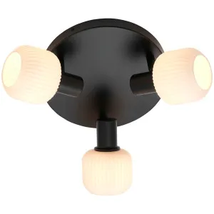 Nordlux Milford Mini 3 Light Flush Mount - Black by Nordlux, a Lighting for sale on Style Sourcebook