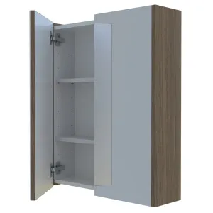 Denver Shaving Cabinet 600mm Double Door Gold Collection by Timberline, a Shaving Cabinets for sale on Style Sourcebook