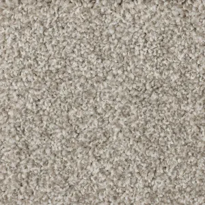 Limelight - Prestigue by Bremworth, a Twist for sale on Style Sourcebook