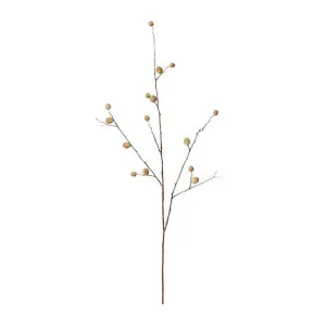 Berry Pod Dried Look Branch - 16 x 8 x 85cm by James Lane, a Plants for sale on Style Sourcebook