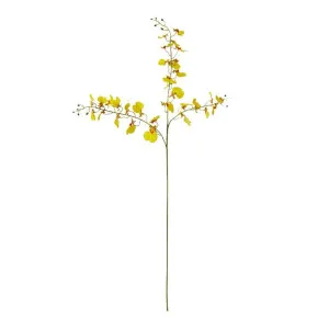 Dancing Orchid Spray - 23 x 10 x 97 cm by James Lane, a Plants for sale on Style Sourcebook