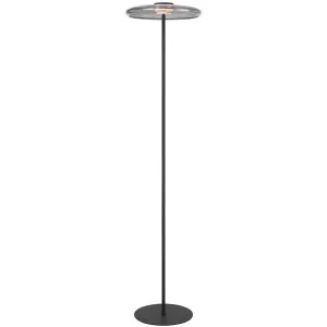 Telbix Amity Modern Luxe LED Floor Lamp with Sculptural Glass Shade Smoke by Telbix, a Lamps for sale on Style Sourcebook
