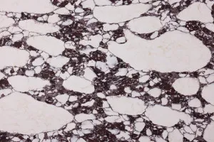 Calacatta Viola?Ñ¢ by MinQ Zero¬Æ Mineral Surfaces, a Silica Free Surfaces for sale on Style Sourcebook