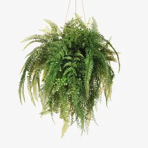 Fern Mixed Ball Hanging Green 60cmh x 45cmd (FI8021GR) by Floral Interiors, a Plants for sale on Style Sourcebook