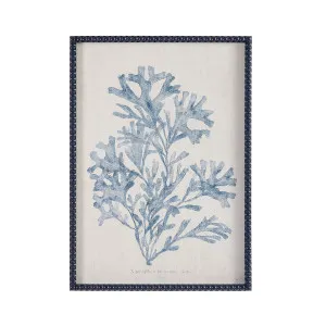 Muse Hastings Framed Printed Wall Art Coral Ii by Muse, a Wall Hangings & Decor for sale on Style Sourcebook