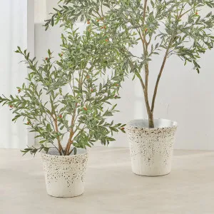 Habitat Heritage Planter Whitewash by Habitat, a Plants for sale on Style Sourcebook