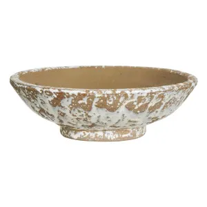 Diego Bowl 30x9.5cm in Sand by OZ Design, a Decorative Plates & Bowls for sale on Style Sourcebook