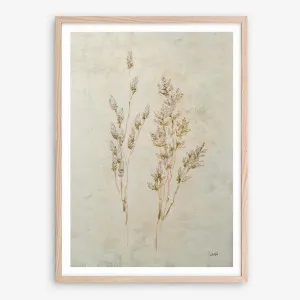 Whispering Grasses II Art Print by The Print Emporium, a Prints for sale on Style Sourcebook