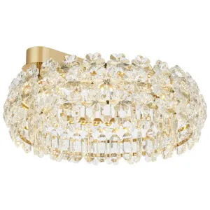 Telbix Landis Medium LED Ceiling Light with Floral Crystal Detailing Gold by Telbix, a Lighting for sale on Style Sourcebook