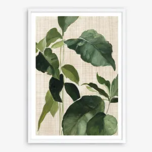 Tropical Study II Linen Art Print by The Print Emporium, a Prints for sale on Style Sourcebook