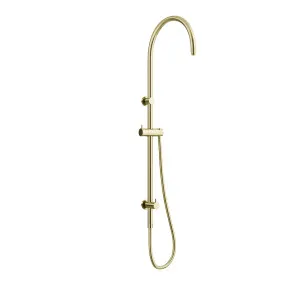 ELEMENTS Gooseneck Shower Rail with Universal Water Inlet Champagne Gold by Highgrove Bathrooms, a Showers for sale on Style Sourcebook