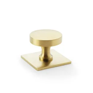 Hastings 38mm Knob on Backplate, Satin Brass PVD by Castella, a Cabinet Hardware for sale on Style Sourcebook