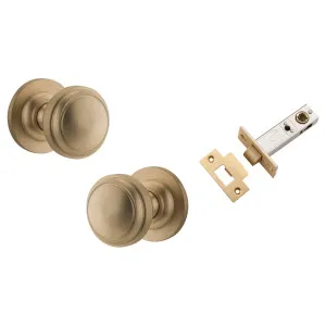 Paddington Knob Round Rose Passage Kit Brushed Brass by Iver, a Door Hardware for sale on Style Sourcebook