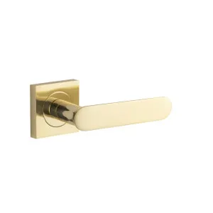 Bronte Lever Polished Brass Square Rose by Iver, a Door Hardware for sale on Style Sourcebook