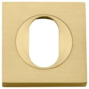 Oval Escutcheon Square Brushed Gold PVD by Iver, a Door Hardware for sale on Style Sourcebook
