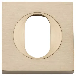 Oval Escutcheon Square Brushed Brass by Iver, a Door Hardware for sale on Style Sourcebook