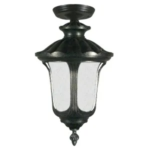 Waterford Medium Outdoor Under Eave, Antique Black by Lighting Inspirations, a Fixed Lights for sale on Style Sourcebook